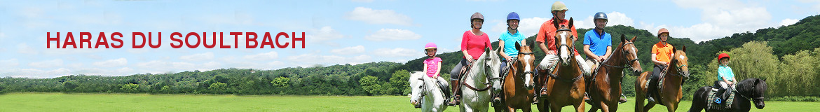 HARAS DU SOULTBACH
